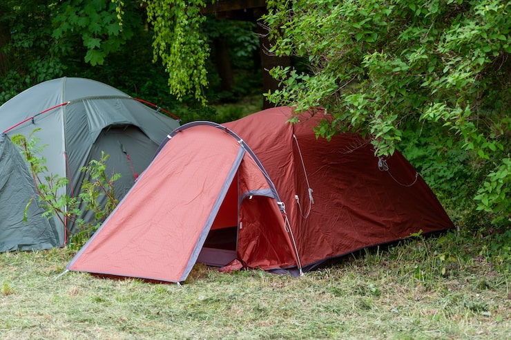 Glamping di Alami: Aktivitas Seru untuk Anak